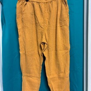 Wonderly Golden Textured Pants